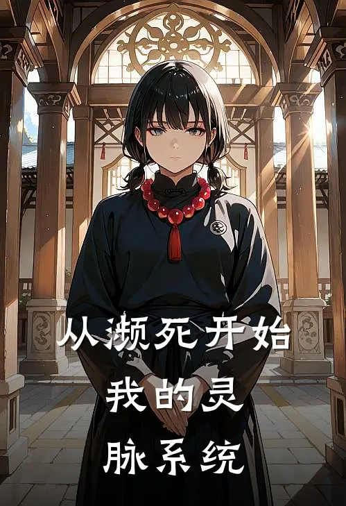 从濒死开始：我的灵脉系统