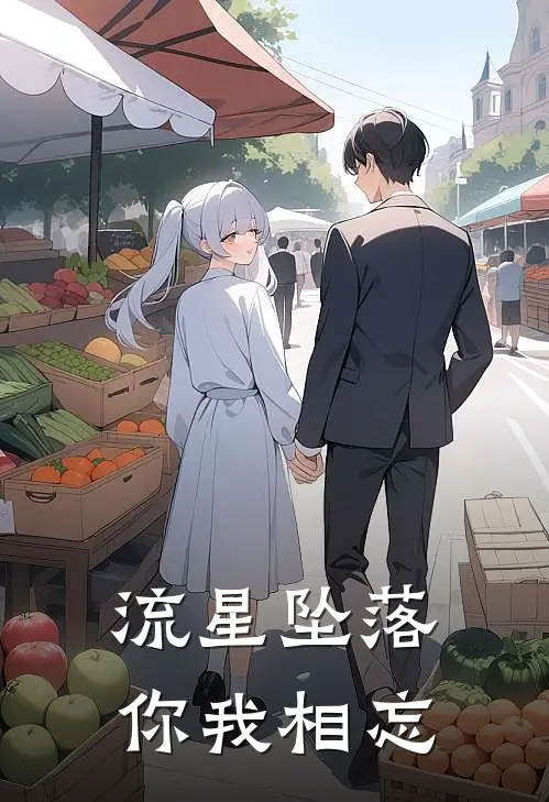 流星坠落，你我相忘