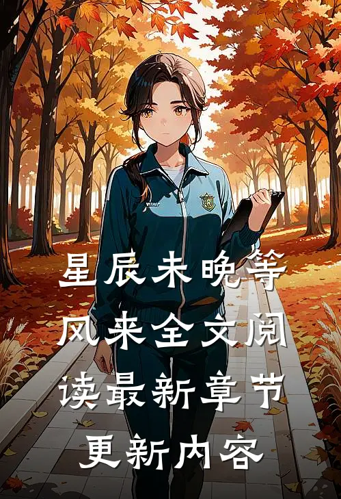 星辰未晚等风来全文阅读最新章节更新内容