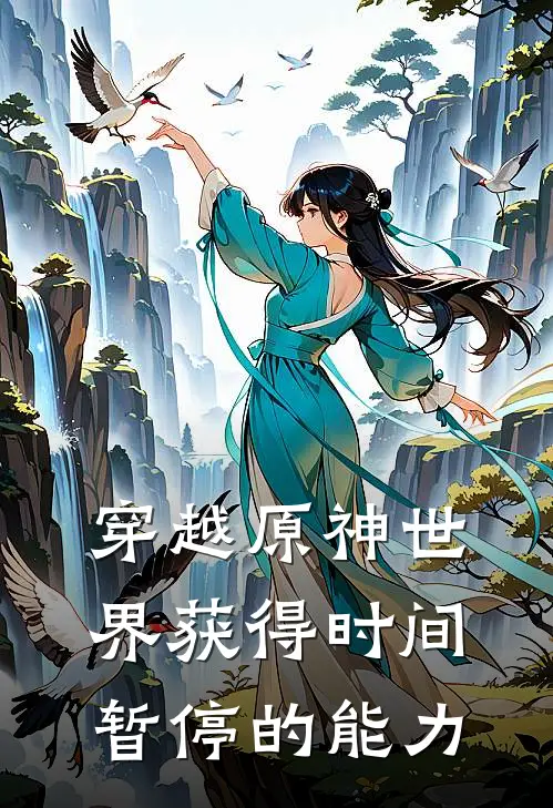 穿越原神世界获得时间暂停的能力